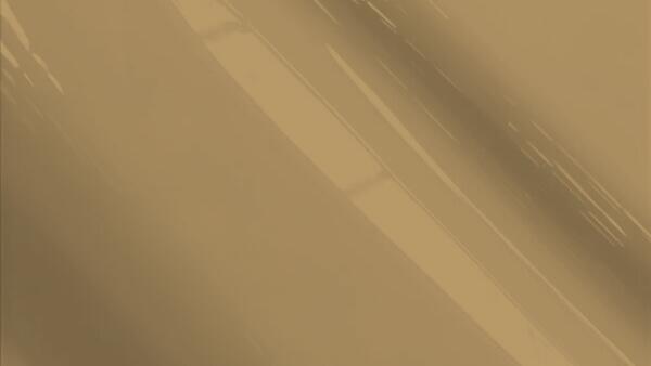 Smoke Beige Metallic