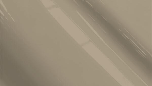 Bronzed Gray Metallic