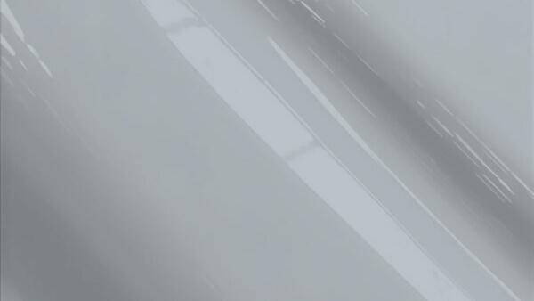 Dark Gray Irid