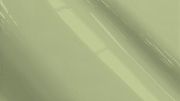 Pewter Pearl Metallic