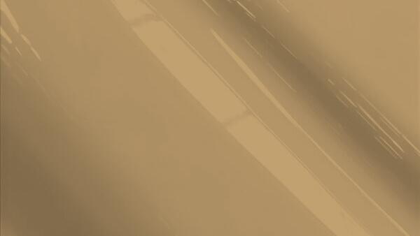 Fargo Brown Metallic