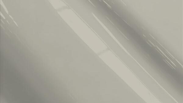 Driftwood S/G Pearl Metallic