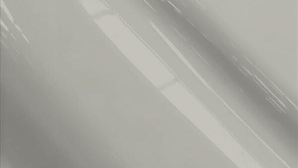 Light Gray Metallic (Wheel Color)