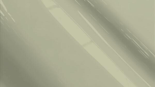 Light Warm Grey  Metallic