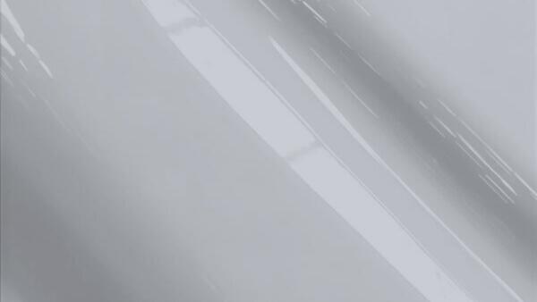 Light Silver Metallic