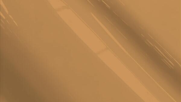 Tan Metallic