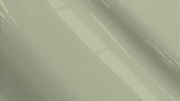 Pepper Gray Metallic