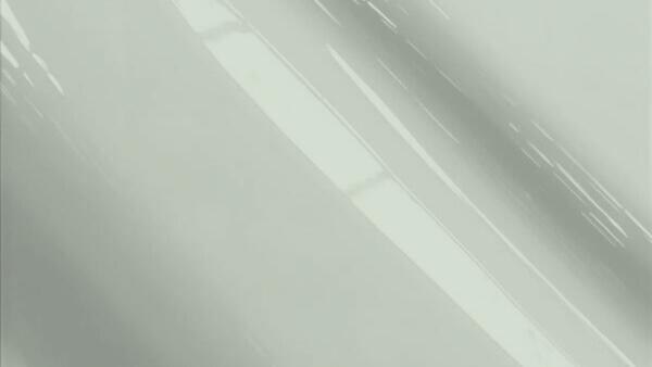 Light Pearl Gray