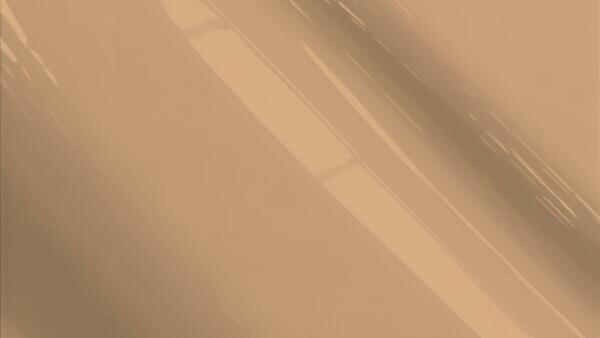 Sandalwood Spice Metallic