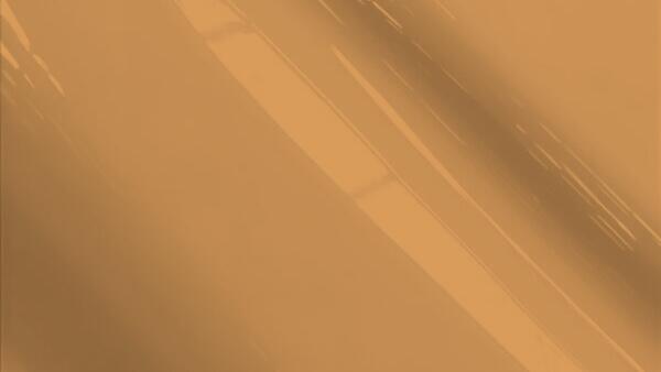 Medium Chamois Metallic