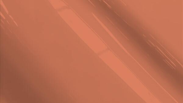 Cinnamon Metallic