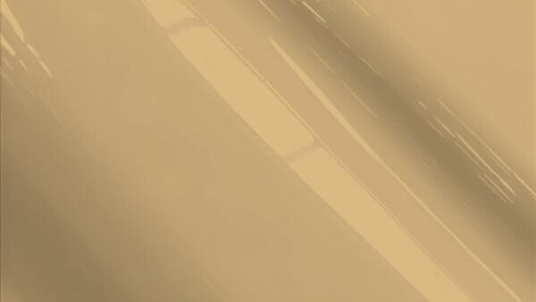 Light Brown Metallic