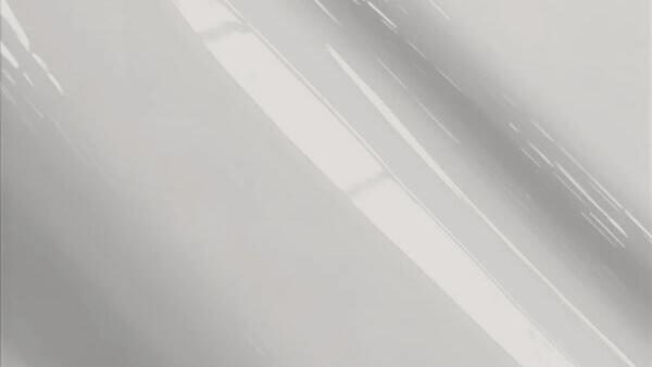 Warm Silver Pearl Metallic