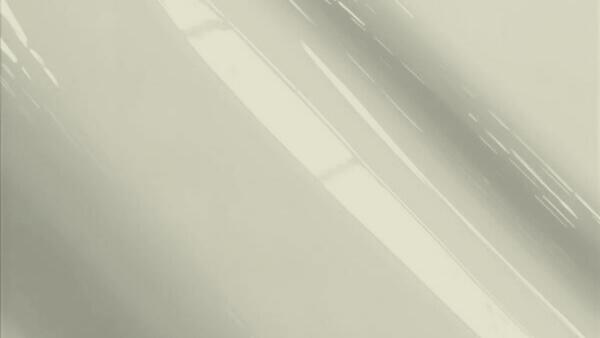 Light Silver Metallic (PPG300887)