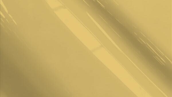 Medium Taupe Metallic