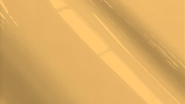 Saddle Tan Metallic