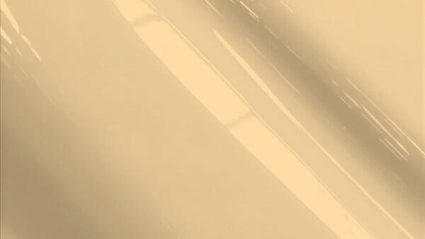 Dark Beige Metallic   (Cladding)